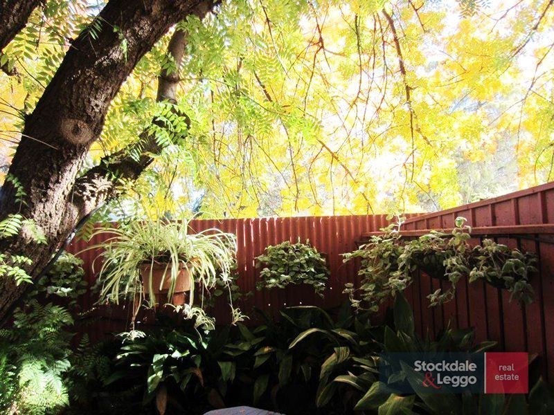 35 River Avenue, Merbein VIC 3505