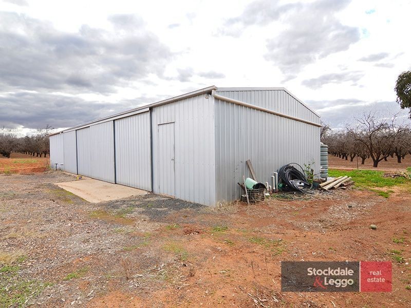 806 Coorong Avenue, Red Cliffs VIC 3496