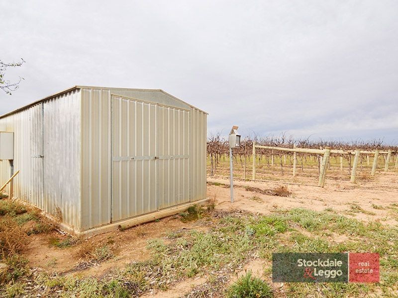 49 Mena Road, Birdwoodton VIC 3505