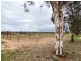 49 Mena Road, Birdwoodton VIC 3505