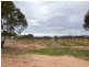 49 Mena Road, Birdwoodton VIC 3505