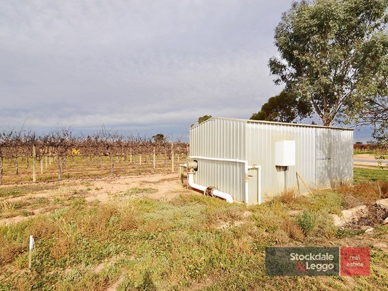 49 Mena Road, Birdwoodton VIC 3505