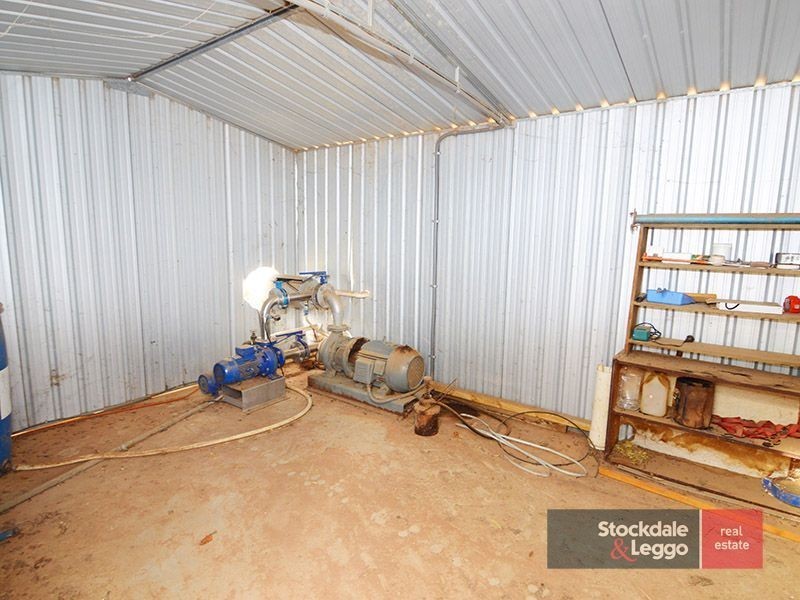 49 Mena Road, Birdwoodton VIC 3505