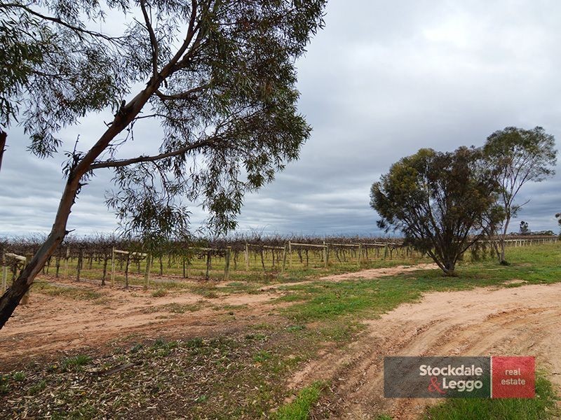 49 Mena Road, Birdwoodton VIC 3505