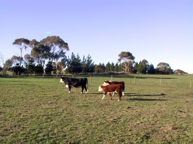 180 Milners Road, Lang Lang VIC 3984