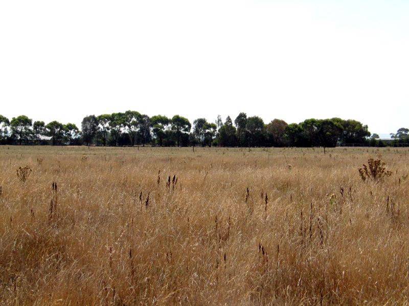 Lot 75 Tynong Bayles Road, Bayles VIC 3981