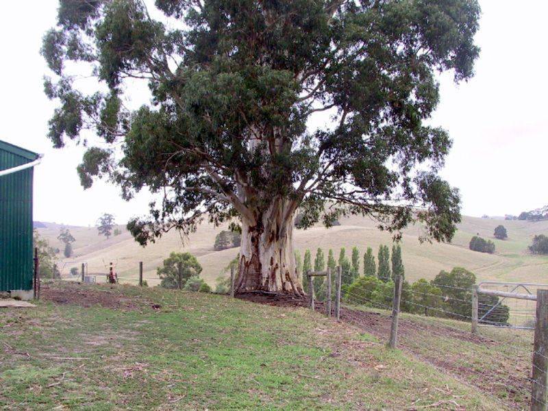 235 Mountain View Road, Poowong VIC 3988