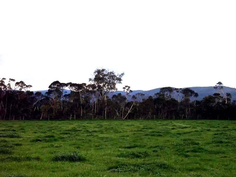 Lot 0 Kydd Road, Labertouche VIC 3816