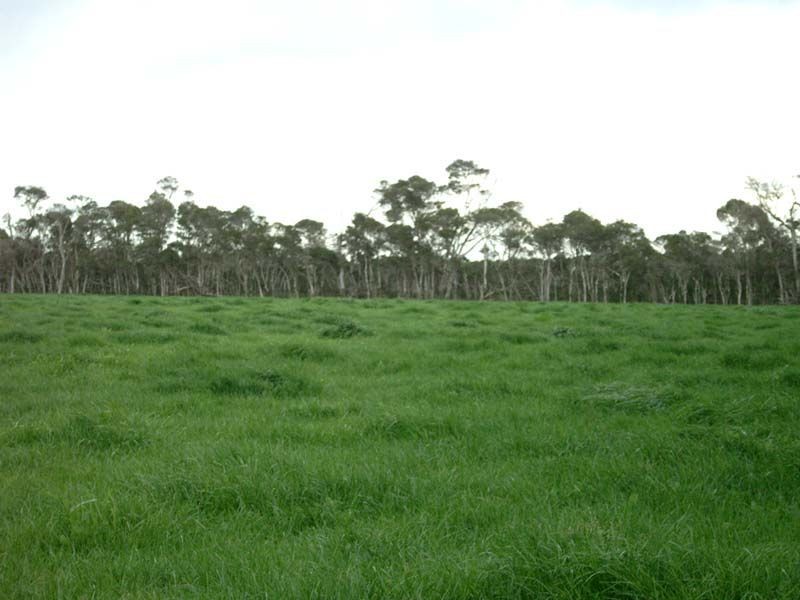 Lot 0 Kydd Road, Labertouche VIC 3816