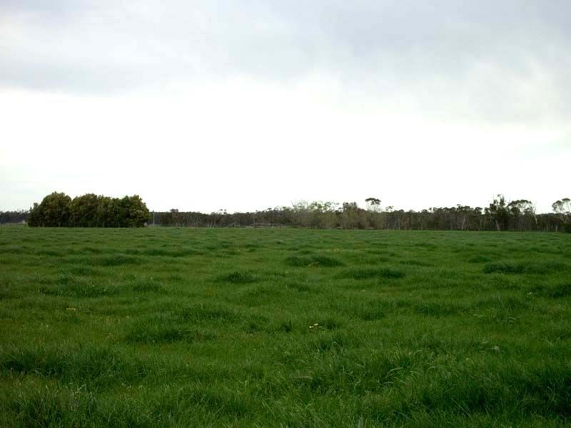 Lot 0 Kydd Road, Labertouche VIC 3816
