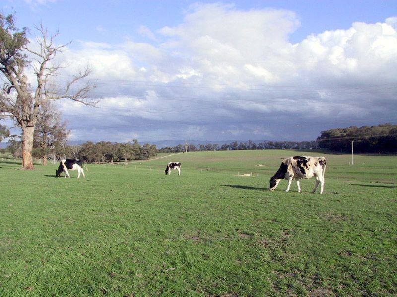 Lot 1 Yarragon Shady Creek Road, Yarragon VIC 3823