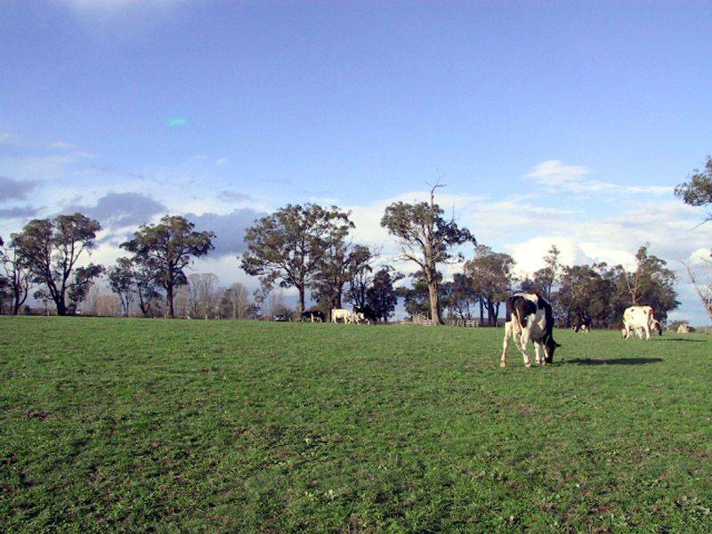 Lot 1 Yarragon Shady Creek Road, Yarragon VIC 3823