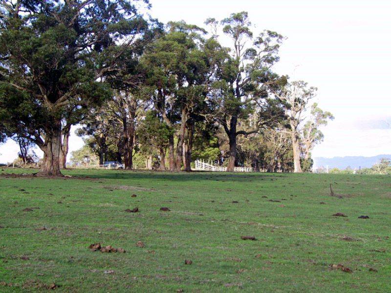 Lot 1 Yarragon Shady Creek Road, Yarragon VIC 3823