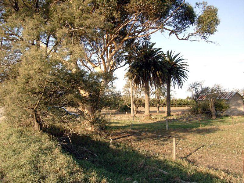 245 Bunyip Modella Road, Bunyip VIC 3815