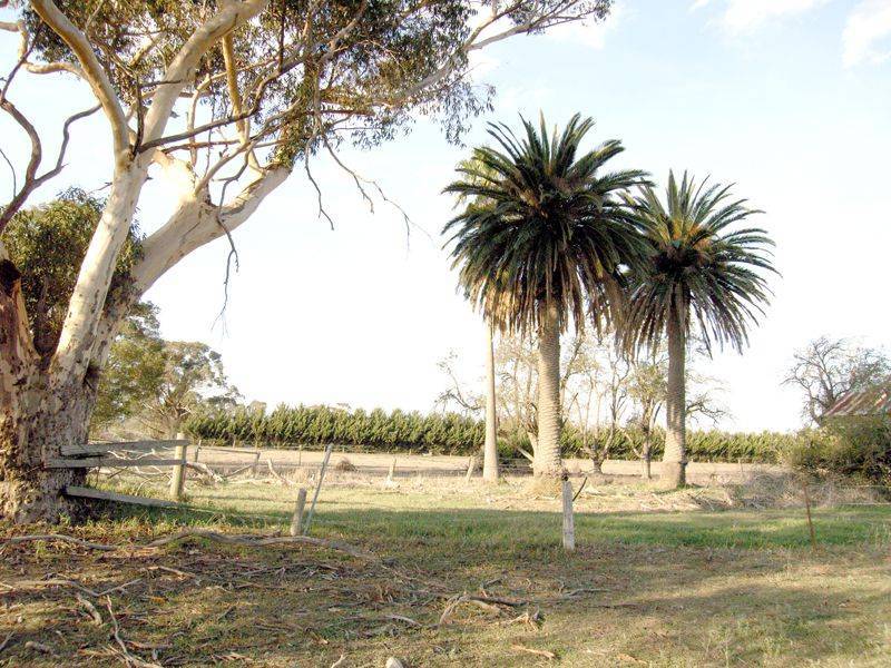 245 Bunyip Modella Road, Bunyip VIC 3815