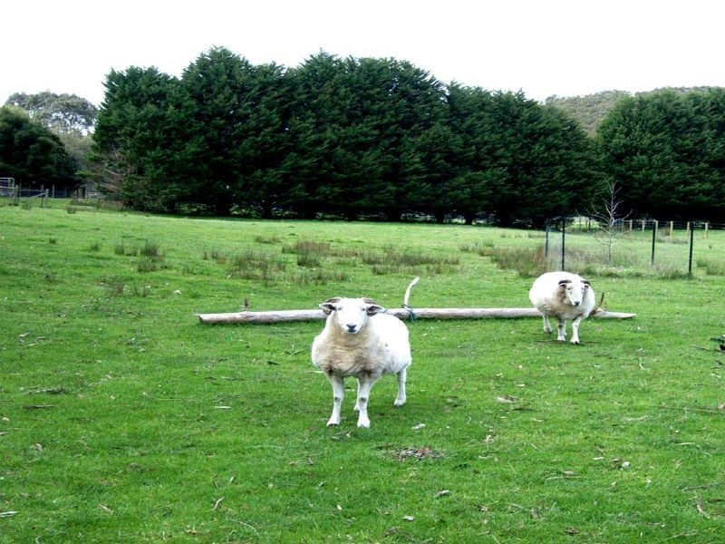 Lot 2, Toomuc Valley Road, Pakenham Upper VIC 3810