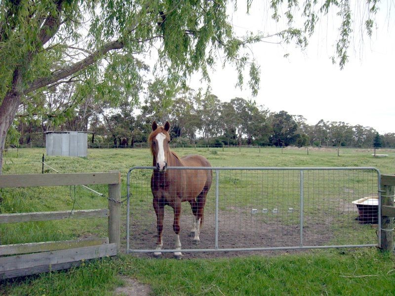 350 Sand Road, Longwarry VIC 3816