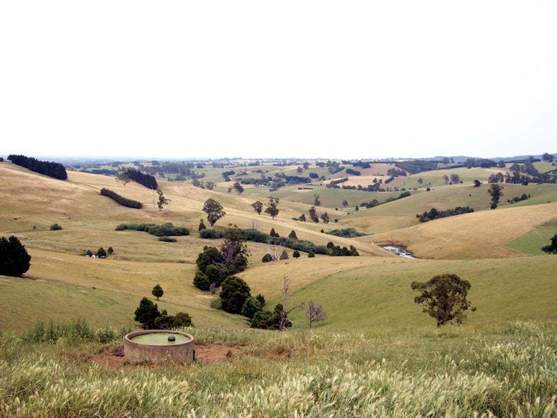 975 Neerim East Road, Neerim VIC 3831