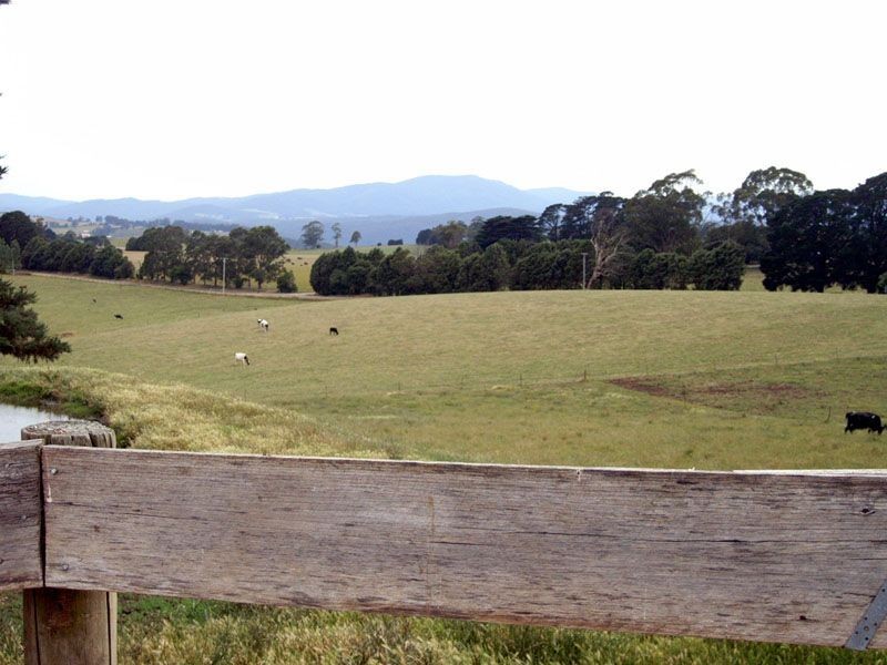 975 Neerim East Road, Neerim VIC 3831