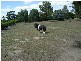 1 Meeking Drive, Pakenham VIC 3810