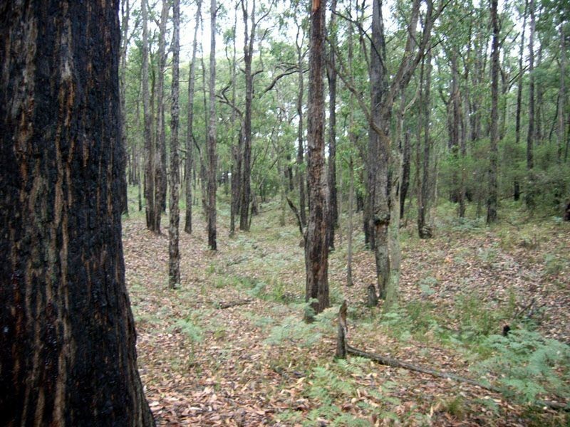 Lot 1 Wilks Road, Officer VIC 3809