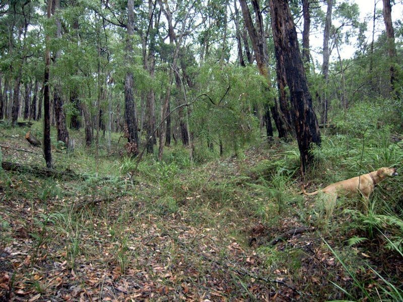 Lot 1 Wilks Road, Officer VIC 3809