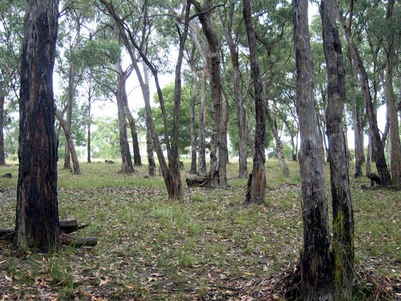 Lot 1 Wilks Road, Officer VIC 3809