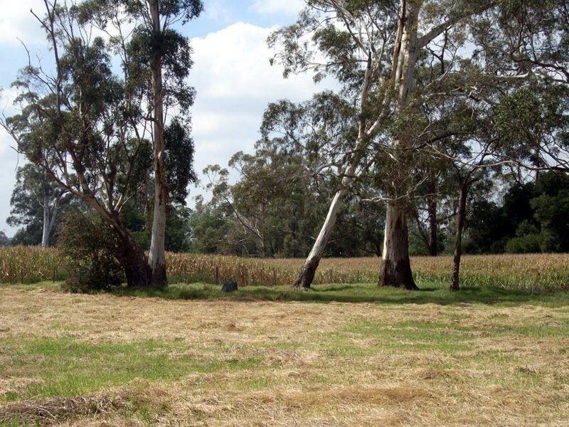 15 Potter Road, Labertouche VIC 3816