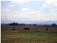 15 Potter Road, Labertouche VIC 3816