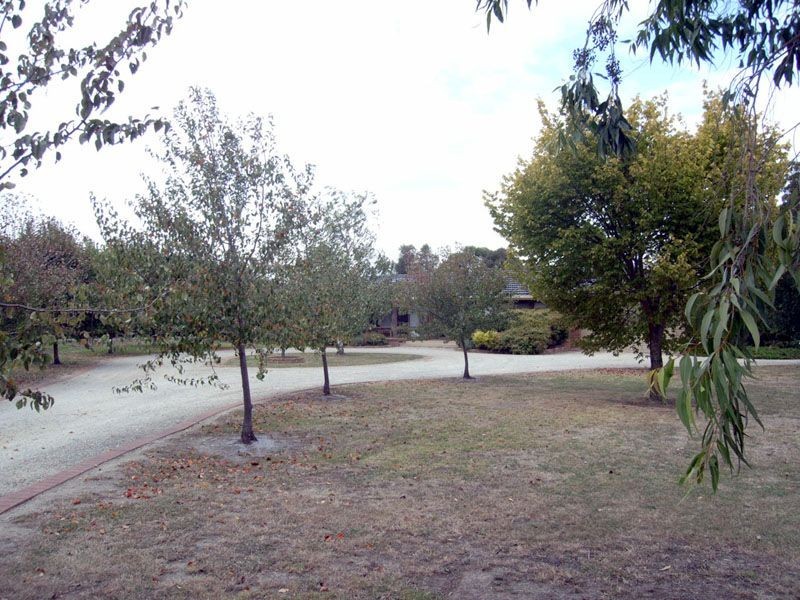 3 Meeking Drive, Pakenham VIC 3810