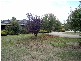 3 Meeking Drive, Pakenham VIC 3810