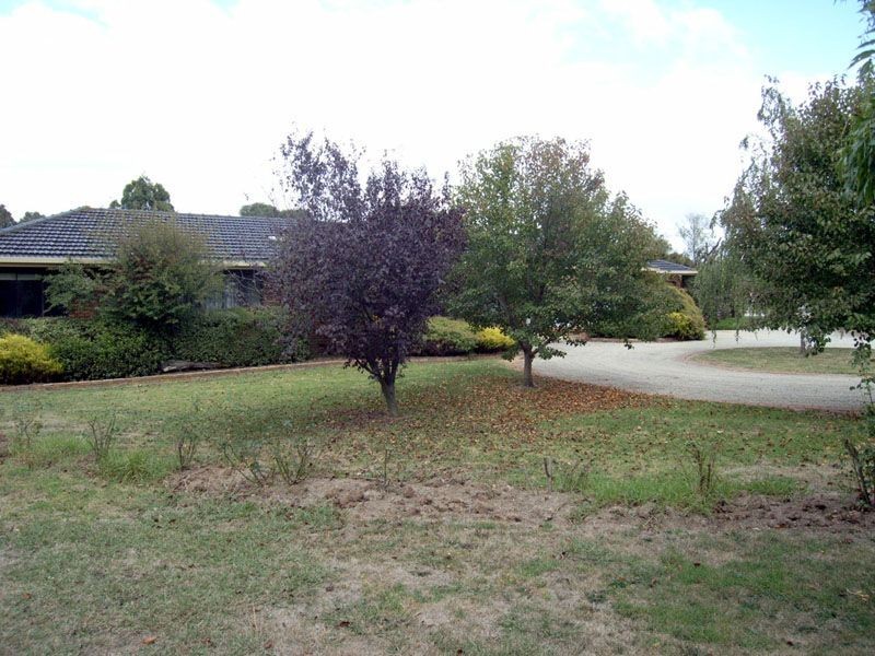 3 Meeking Drive, Pakenham VIC 3810