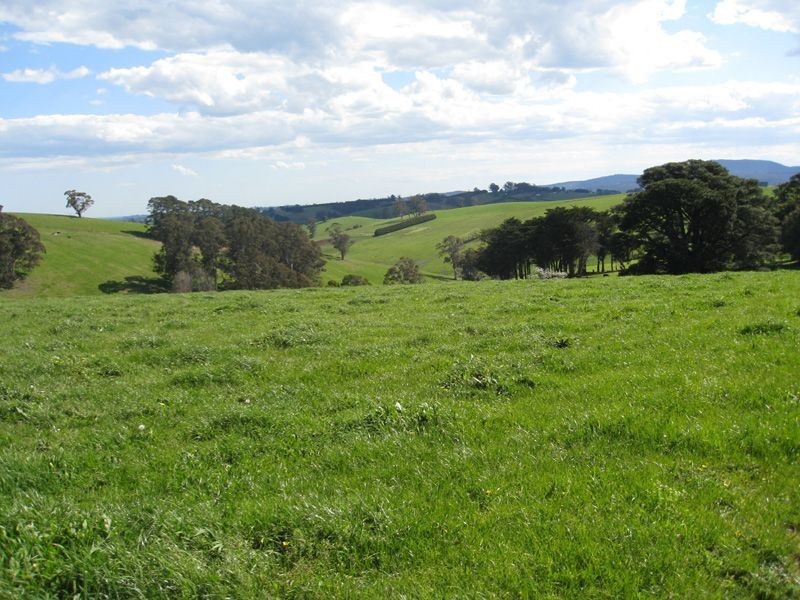 1035 Neerim East Road, Neerim VIC 3831