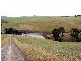 Lot 3 Neerim East Road, Neerim VIC 3831