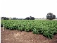 Lot 3 Neerim East Road, Neerim VIC 3831