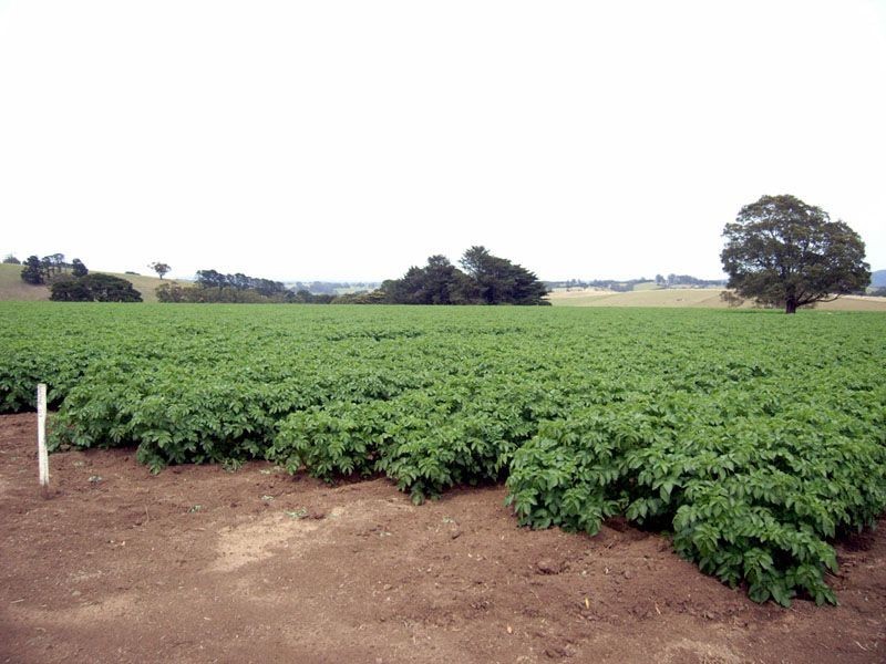 Lot 3 Neerim East Road, Neerim VIC 3831