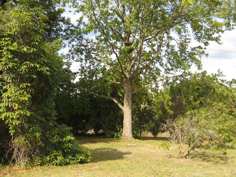 33 Garfield Road, Garfield VIC 3814