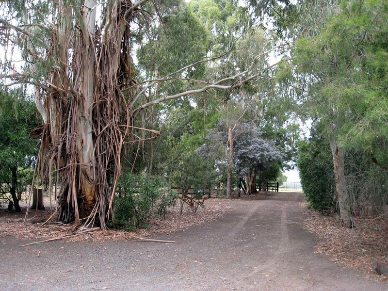 19 Valley View Road, Labertouche VIC 3816