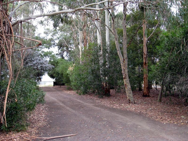 19 Valley View Road, Labertouche VIC 3816