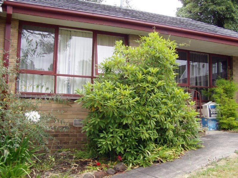 4/35 Oliver Street, Ringwood VIC 3134