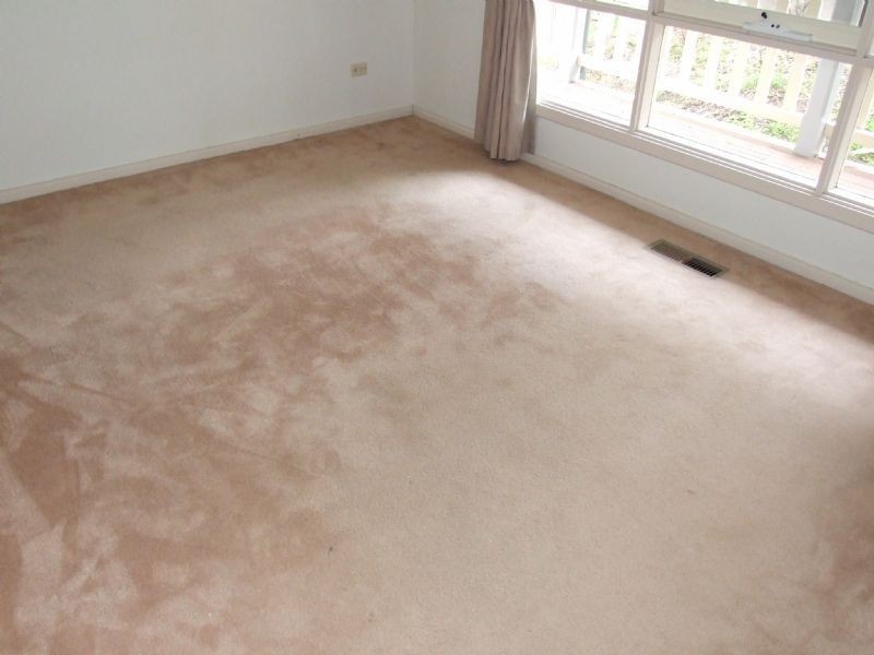 25 Burlock Avenue, Ringwood North VIC 3134