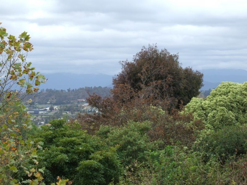 6 Akarana Road, Chirnside Park VIC 3116