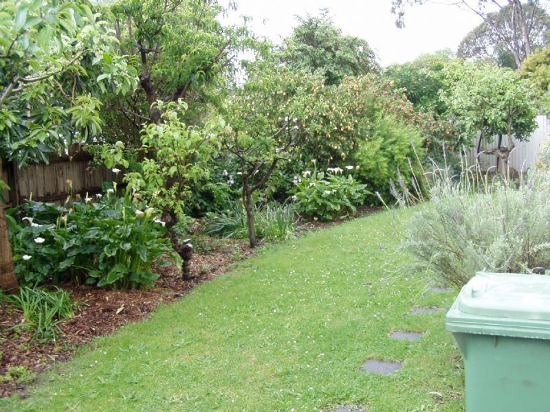 17 Mirabel Avenue, Ringwood East VIC 3135