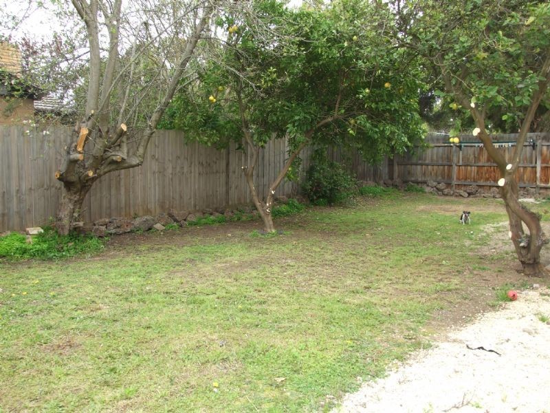 59 Maidstone Street, Ringwood VIC 3134