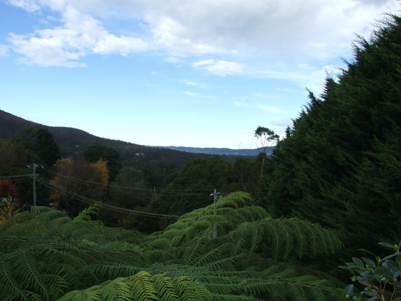 101 Wonga Road, Millgrove VIC 3799