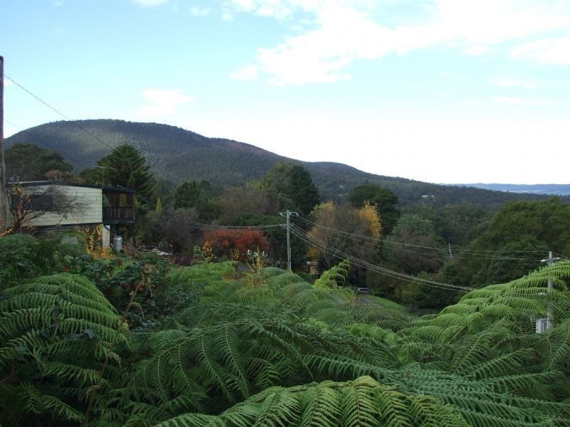 101 Wonga Road, Millgrove VIC 3799