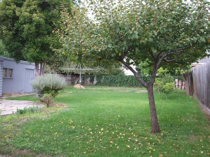 7 Bourke Street, Ringwood VIC 3134