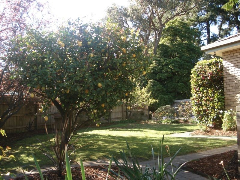 51 Bronhill Road, Ringwood East VIC 3135