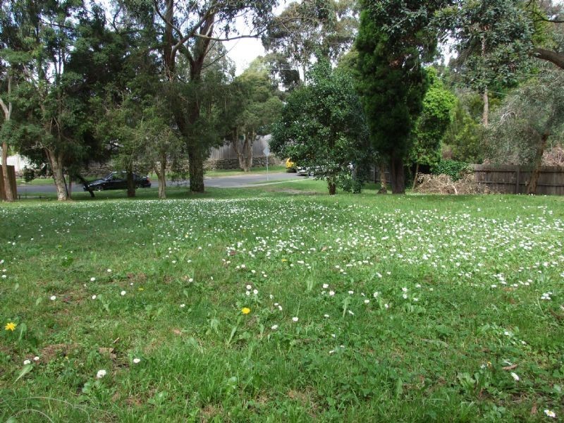54 Waterloo Street, Heathmont VIC 3135