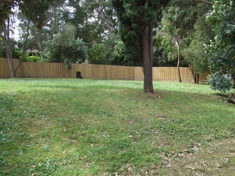 54 Waterloo Street, Heathmont VIC 3135